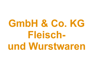 Metzgerei Günter Meyer GmbH & Co. KG Fleisch- und Wurstwaren Logo