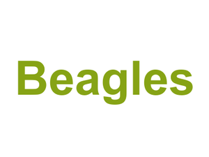 Beagles Logo