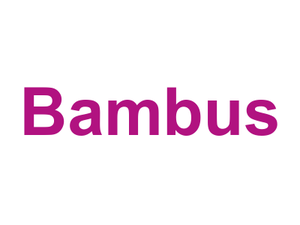 Bambus Logo