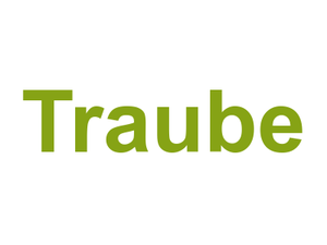 Traube Logo