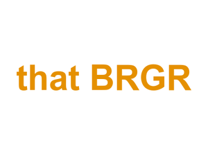 that BRGR Logo