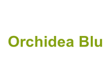 Orchidea Blu Logo