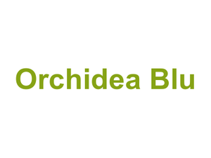 Orchidea Blu Logo