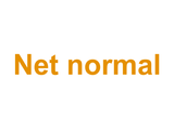 Net normal Logo