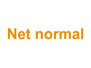 Net normal Logo