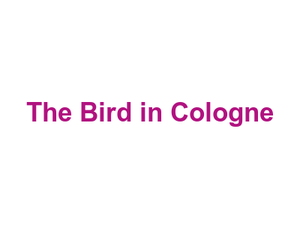The Bird in Cologne Logo
