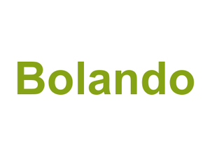 Bolando Logo