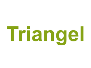 Triangel Logo