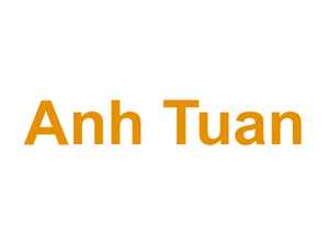 Anh Tuan Logo