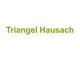 Triangel Hausach Logo