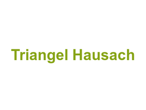 Triangel Hausach Logo