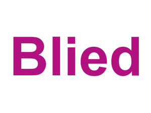 Blied Logo