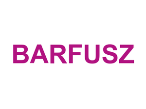 BARFUSZ Logo