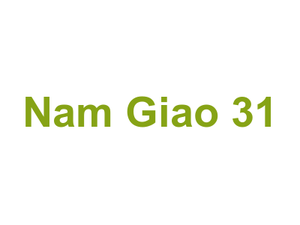 Nam Giao 31 Logo