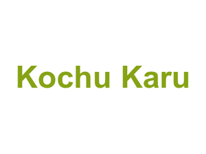 Kochu Karu Logo