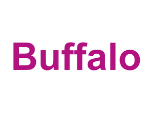 Buffalo Logo