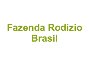 Fazenda Rodizio Brasil Logo