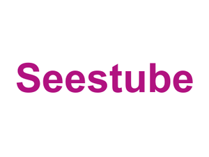 Seestube Logo