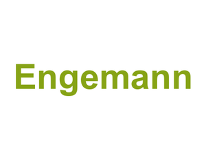 Engemann Logo