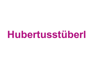 Hubertusstüberl Logo