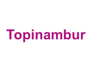 Topinambur Logo