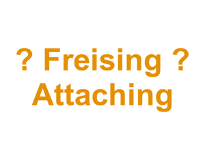 Metzgerei Vinzenzmurr  – Freising – Attaching Logo
