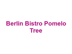 Berlin Bistro Pomelo Tree Logo