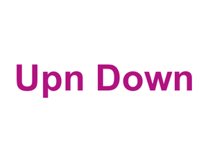 Up'n Down Logo