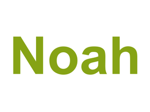 Noah Logo