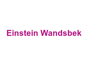 Einstein Wandsbek Logo