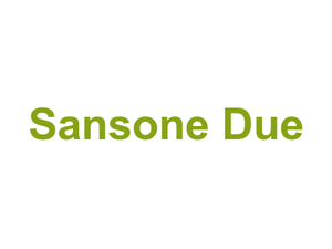 Sansone Due Logo