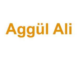Aggül Ali Logo