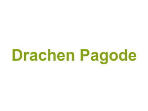 Drachen Pagode Logo