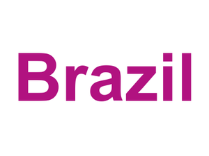 Brazil Logo