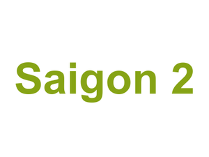 Saigon 2 Logo