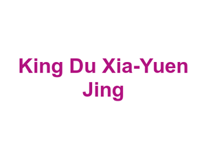 King Du Xia-Yuen Jing Logo