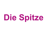 Die Spitze Logo
