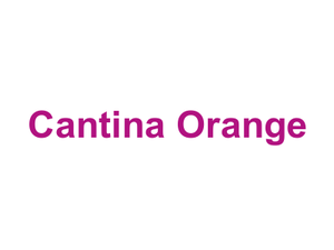 Cantina Orange Logo
