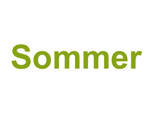 Sommer Logo