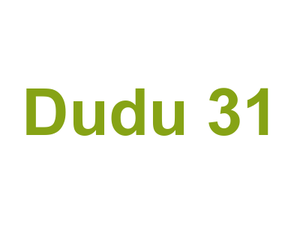 Dudu 31 Logo