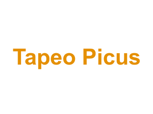 Tapeo Picus Logo