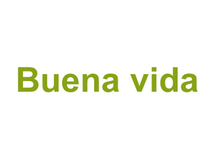 Buena vida Logo