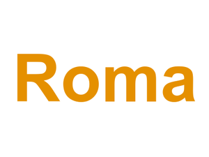 Roma Logo