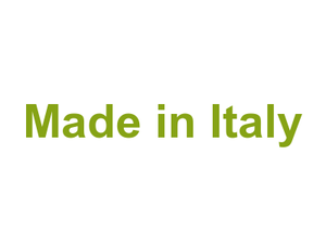 Made in Italy Logo