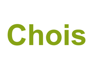 Choi's Logo