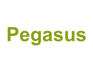 Pegasus Logo