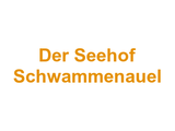 Der Seehof Schwammenauel Logo