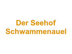 Der Seehof Schwammenauel Logo