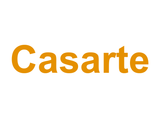 Casarte Logo