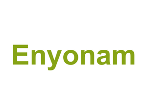 Enyonam Logo